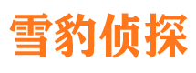 丰城市侦探公司